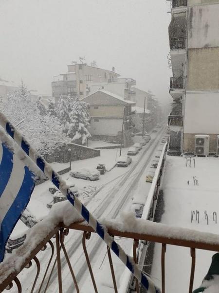 5e85764f825e63399a41cac3 | Lamianow.gr