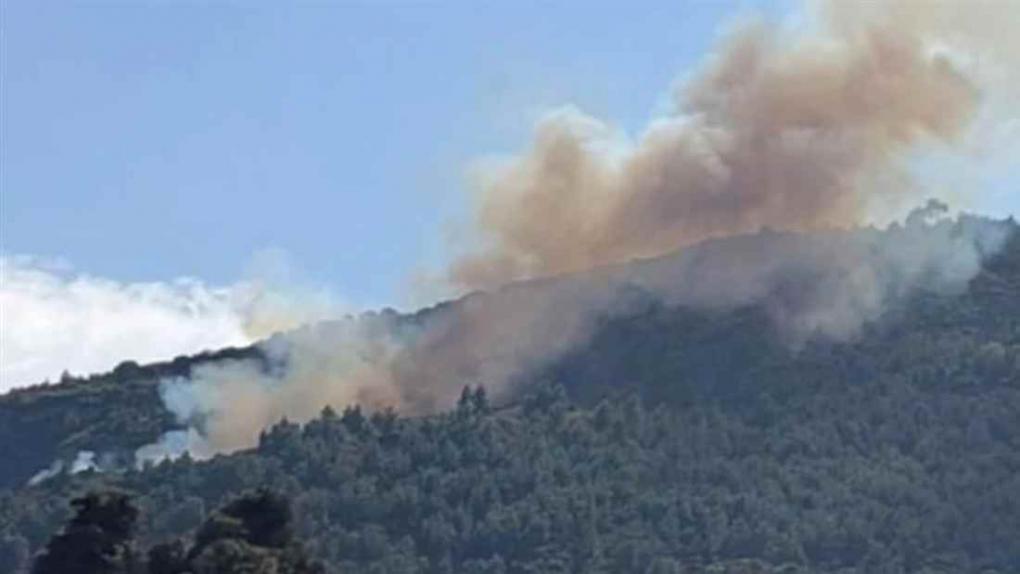 Φωτιά στην Αχαΐα, σε δασική έκταση - Επιχειρούν ισχυρές πυροσβεστικές δυνάμεις