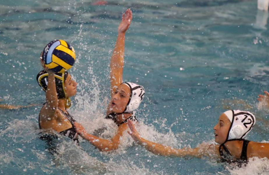 ΠΑΟΚ Domus Ergo - Άλιμος ΝΑΣ Betsson 12-17