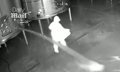 Ισπανία: Γυναίκα κατέστρεψε κρασιά αξίας 2,7 εκατομμυρίων δολαρίων επειδή απολύθηκε