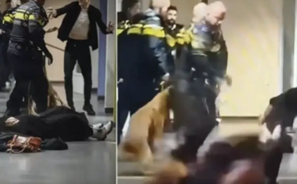 Κατακραυγή στο διαδίκτυο - Βίντεο δείχνει Ολλανδούς αστυνομικούς να ρίχνουν στο έδαφος έγκυο