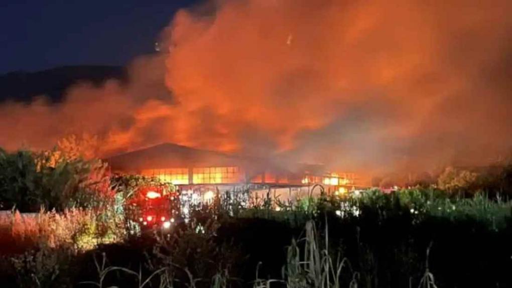 Μεγάλη φωτιά σε επιχείρηση ξυλείας στην Καλαμάτα