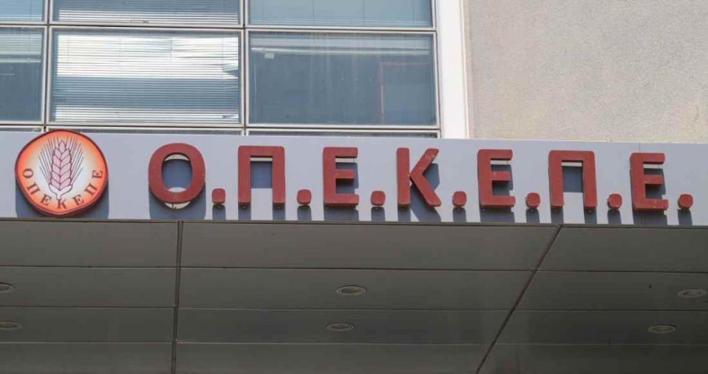 ΟΠΕΚΕΠΕ: Πώς λειτουργούσε το κύκλωμα με τις παράνομες επιδοτήσεις σε Κοζάνη και Αγρίνιο