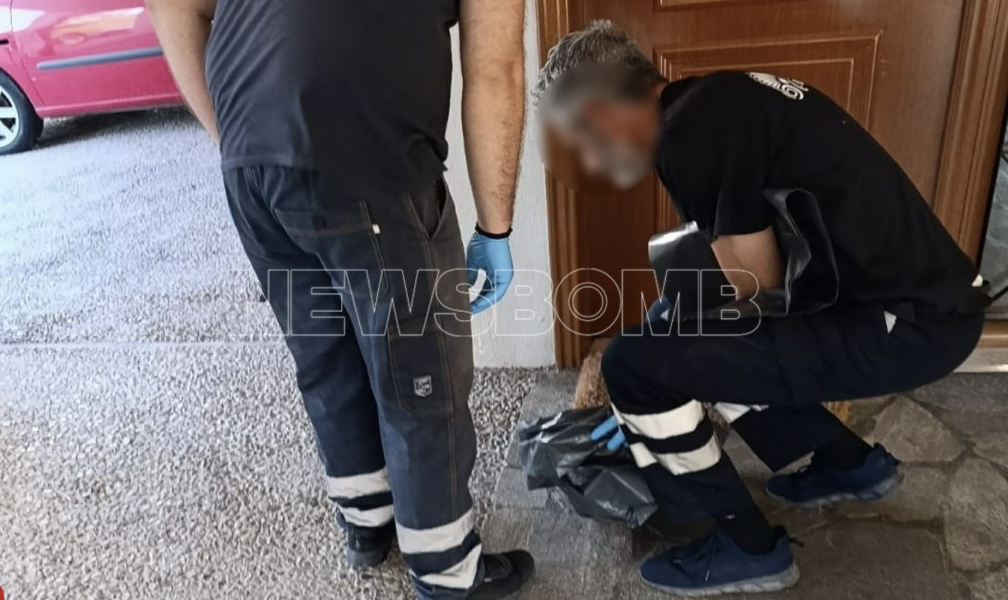 Φρίκη στα Βριλήσσια: Άγνωστος πέταξε το κεφάλι μικρής γάτας στην είσοδο πολυκατοικίας