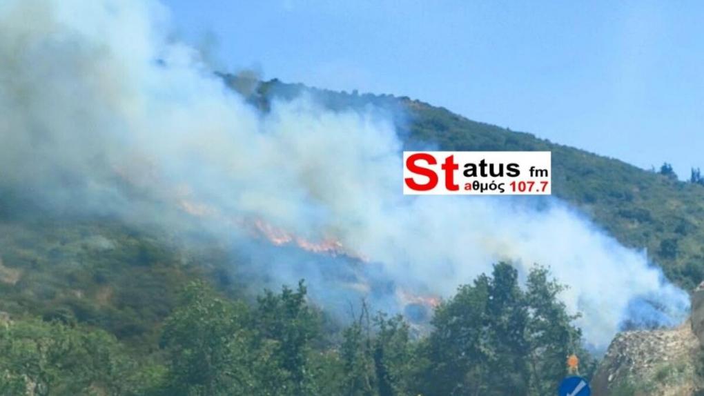 Φωτιά στα Πεύκα Θεσσαλονίκης: Καίει σε δασική περι