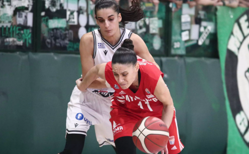 basket