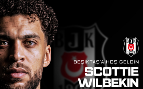 wilbekin