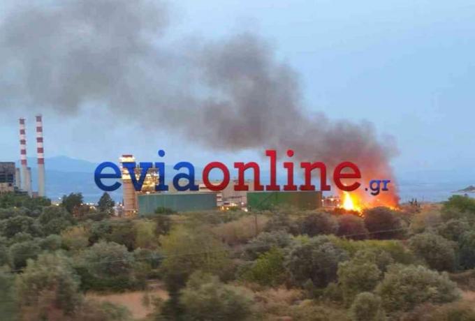 Εύβοια: Φωτιά τώρα κοντά στο εργοστάσιο της ΔΕΗ – Επί τόπου η Πυροσβεστική