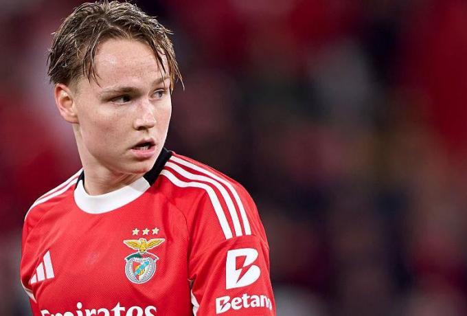 Η νορβηγική ομοσπονδία για τον Σιέλντερουπ και το πορνογραφικό υλικό ανηλίκων!