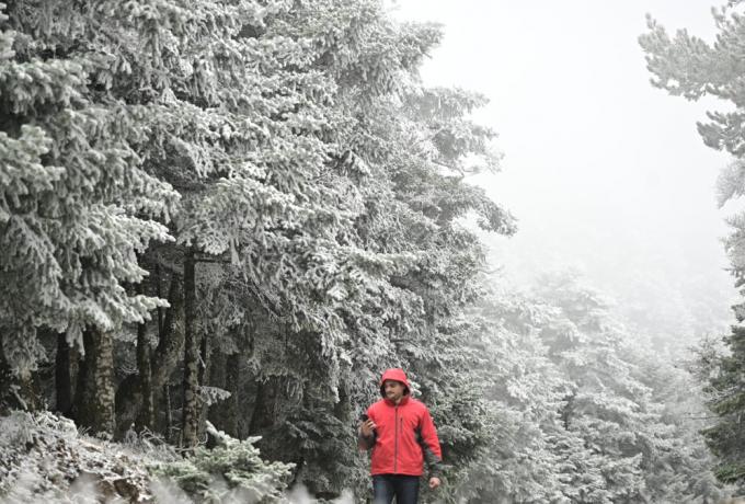 Αυστρία: Οκτώ νεκροί από χιονοστιβάδες στις Άλπεις σε ένα 24ωρο