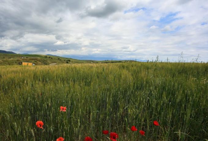Καιρός σήμερα: Βροχές σε δυτικά, κεντρικά και βόρεια με «βουτιά» της θερμοκρασίας
