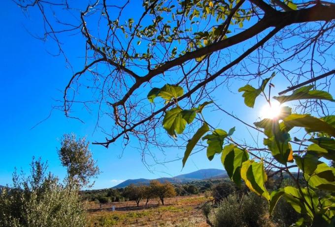 Καιρός σήμερα: Στους 19 βαθμούς η θερμοκρασία με ισχυρούς ανέμους στο Αιγαίο