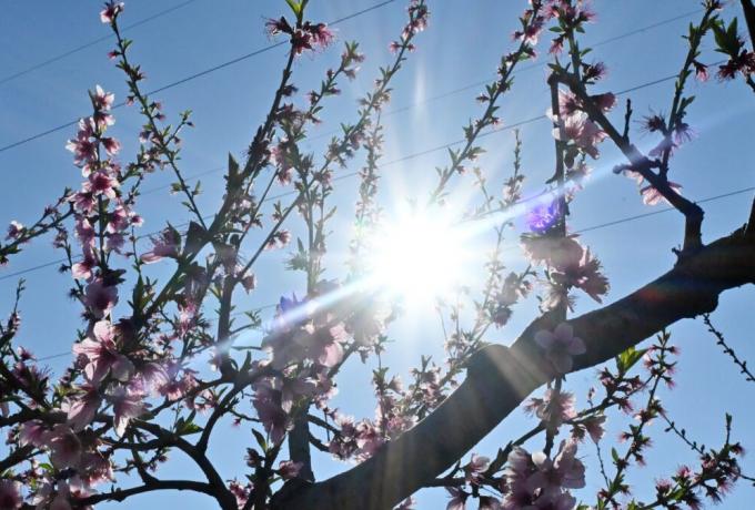 Καιρός σήμερα: Ηλιοφάνεια με λίγη συννεφιά