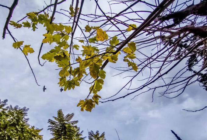 Καιρός αύριο: Τοπικές βροχές και άνοδος της θερμοκρασίας