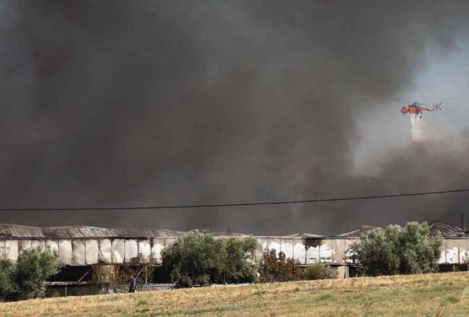 Συντριβή Phantom στην Τανάγρα: Πληροφορίες ότι εντοπίστηκαν χωρίς τις αισθήσεις τους οι δύο πιλότοι Συντριβή Phantom στην Τανάγρα: Πληροφορίες ότι εντοπίστηκαν χωρίς τις αισθήσεις τους οι δύο πιλότοι