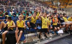 Pao basket akadimies