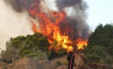 Χειροπέδες σε δυο άτομα για εμπρησμούς σε Αττική και Εύβοια