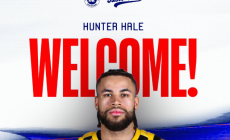 hale