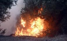 Καιρός «hot – dry – windy» τις επόμενες 48 ώρες: Αυξημένος ο κίνδυνος φωτιάς