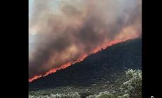 Εκτός κάθε ελέγχου η φωτιά στη Βοιωτία - Νέα μηνύματα από το 112 για εκκενώσεις από Πόρτο Γερμενό και Προσήλι