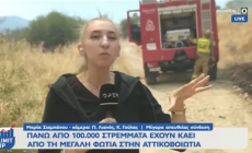 Η απάντηση του διευθυντή ειδήσεων του OPEN για το γέλιο της ρεπόρτερ στη φωτιά