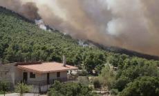 Πυρκαγιές: Ξεκινούν τη Δευτέρα οι αυτοψίες για τις ζημιές από τις φωτιές- Άμεσα οι πρώτες ενισχύσεις