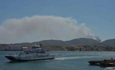 Τραγωδία στη Σαλαμίνα: 2 νεκροί από τη φωτιά σε Περιστέρια και Σελήνια - Κάηκαν σπίτια