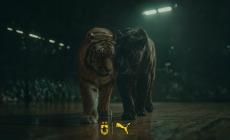 Άρης: Ανακοίνωσε τη συνεργασία του με την Puma