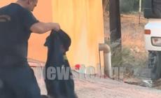 Μια αγκαλιά ανάμεσα στις στάχτες: Η τρυφερή στιγμή πυροσβέστη με έναν σκύλο στον Κουβαρά