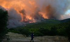 Εκτός ελέγχου η φωτιά στη Βοιωτία: Πύρινη κόλαση στο Πόρτο Γερμενό - Απεγκλωβισμοί από τη θάλασσα, κάηκε πυροσβεστικό όχημα