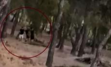 Βόλος: Βρέφος γεννήθηκε τοξικοεξαρτώμενο και μεγάλωνε 8 μήνες σε νοσοκομείο - Βρήκε ανάδοχη οικογένεια