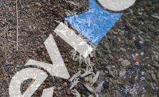 Εύβοια: Χιλιάδες πόδια από κότες και γαλοπούλες ξεβράστηκαν σε ακτή του Μαλακώντα