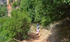 Παραλίγο νέα τραγωδία στη Νέδα: 10χρονο παιδί έπεσε σε χαράδρα 25 μέτρων