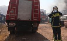 Συνελήφθη 54χρονος για πυρκαγιά στον Βοτανικό Κήπο Χαϊδαρίου - Έκανε χρήση θαμνοκοπτικού