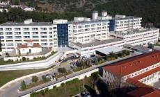 Λαμία: 30χρονος νοσηλεύεται στη ΜΕΘ από τσίμπημα μαύρης αράχνης