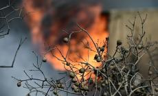 Λάρισα: Φωτιά σε ποιμνιοστάσιο στο Λουτρό - Κάηκαν 70 ζώα