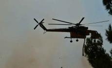 Φωτιά στο Στεφάνι Κορινθίας – Μήνυμα του 112 για ετοιμότητα