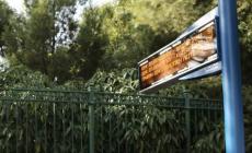 Black out στην τηλεματική του ΟΑΣΑ για δεύτερη μέρα - Εξετάζεται και σενάριο κυβερνοεπίθεσης