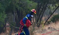 Φωτιά στη Βοιωτία: Στο νοσοκομείο δύο πυροσβέστες που επιχειρούσαν στα πύρινα μέτωπα