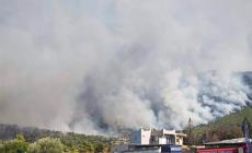 Φωτιά στην Ψάθα: Οργή κατοίκων, ένταση με πυροσβέστες και αστυνομικούς (vids)