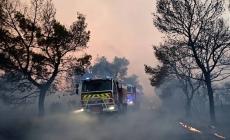 Σύλληψη δημάρχου για τη φωτιά στη Βοιωτία: «Στη δικαιοσύνη δεν χωρούν Ιφιγένειες»