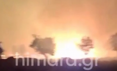 Χειμάρρα: Πυρκαγιά απειλεί κατοικημένες περιοχές