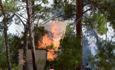 Μεσσηνία: Οριοθετήθηκε η φωτιά στο Ψάρι