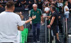 Άφησαν λουλούδι στη θέση του Παύλου Γιαννακόπουλου τα μέλη του Παναθηναϊκού - Τρομερή στιγμή με Ζοτς! (vid)