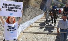 Σαντορίνη: Επίθεση σε ακτιβίστριες της PETA – Διαμαρτύρονταν για τη χρήση γαϊδουριών στη μεταφορά τουριστών