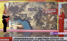 «Χωρίς Photoshop και παρεμβάσεις»: Η πληθωρική ρεπόρτερ του MEGA που ξετρέλανε τον Νίκο Μαστοράκη (pics)