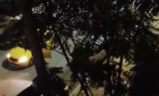 Πέντε άνθρωποι χρειάστηκαν για να ακινητοποιήσουν τον 35χρονο που έκοψε το αυτί της οδηγού ταξί (vid)