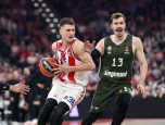 nedovic