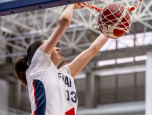 basket
