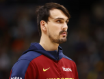 saric